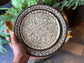 Floral Ceramic Dinner Plates (set of 2)